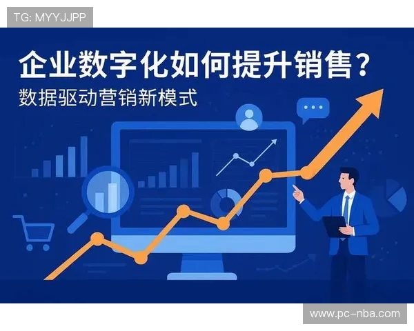 数据驱动营销策略普及 提高投资回报率